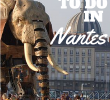 Jardin Botanique Nantes Inspirant 6 Awesome Things to Do In Nantes France