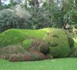 Jardin Botanique Nantes Inspirant File Claude Ponti Au Jardin Des Plantes Le Voyage   Nantes