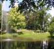 Jardin Botanique Nantes Inspirant Jardin Des Plantes De Nantes