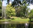 Jardin Botanique Nantes Inspirant Jardin Des Plantes De Nantes