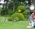 Jardin Botanique Nantes Luxe File Jardin Des Plantes Nantes 2014 07 Le Massif Du