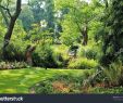 Jardin Botanique Nantes Luxe Jardin Des Plantes Botanical Garden Nantes Stock Edit