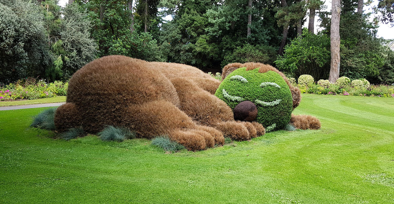 Jardin Botanique Nantes Luxe Jardin Des Plantes De Nantes V Nantes Advisor Travel