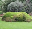 Jardin Botanique Nantes Luxe Un Chien Dans Le Jardin Des Plantes De Nantes