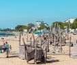 Jardin Botanique Nantes Nouveau Discover Saint Nazaire as A Family