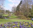 Jardin Botanique Nantes Nouveau Eghn – Jardin Des Plantes