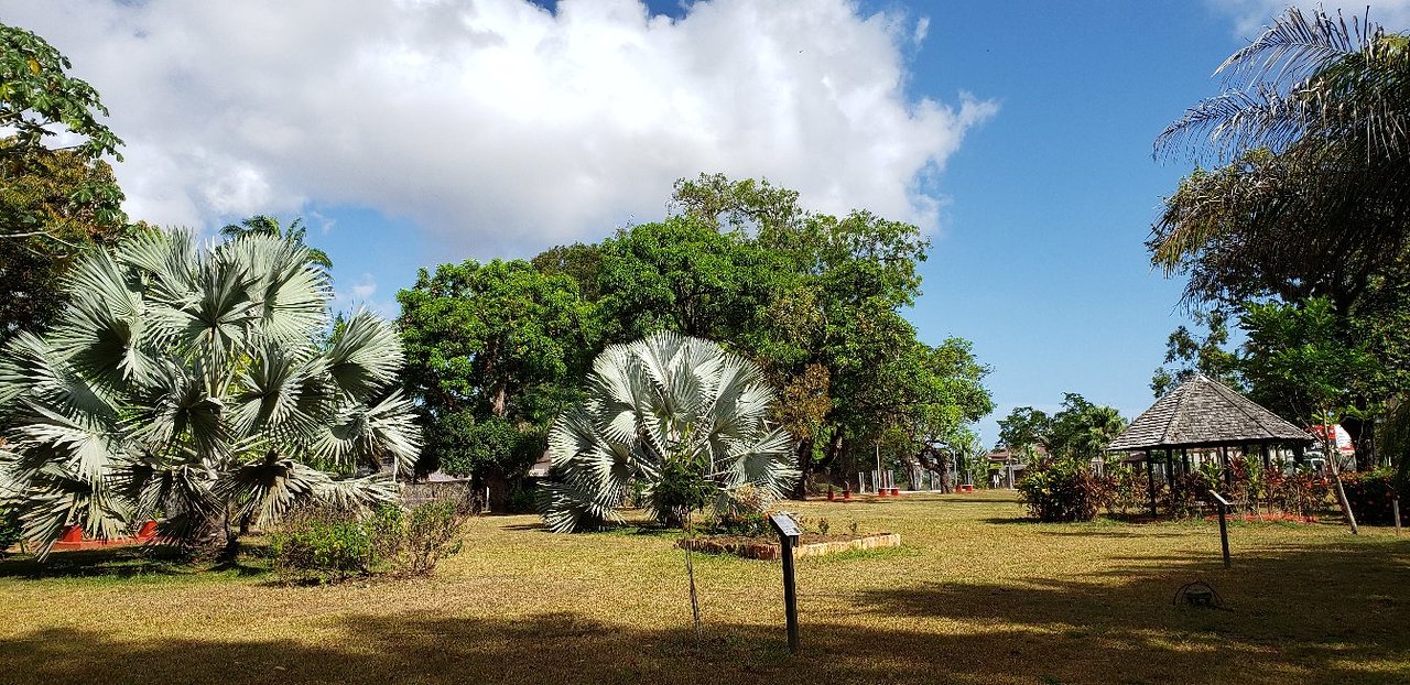 Jardin Botanique Nouveau Jardin Botanique Cayenne 2020 All You Need to Know