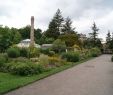 Jardin Botanique Nouveau S Strasbourg Page 4