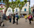 Jardin Botanique St Jean De Luz Génial H´tel   Saint Jean De Luz Avec Expedia