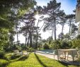 Jardin Botanique St Jean De Luz Nouveau Villa Bianca soorts Hossegor France Booking