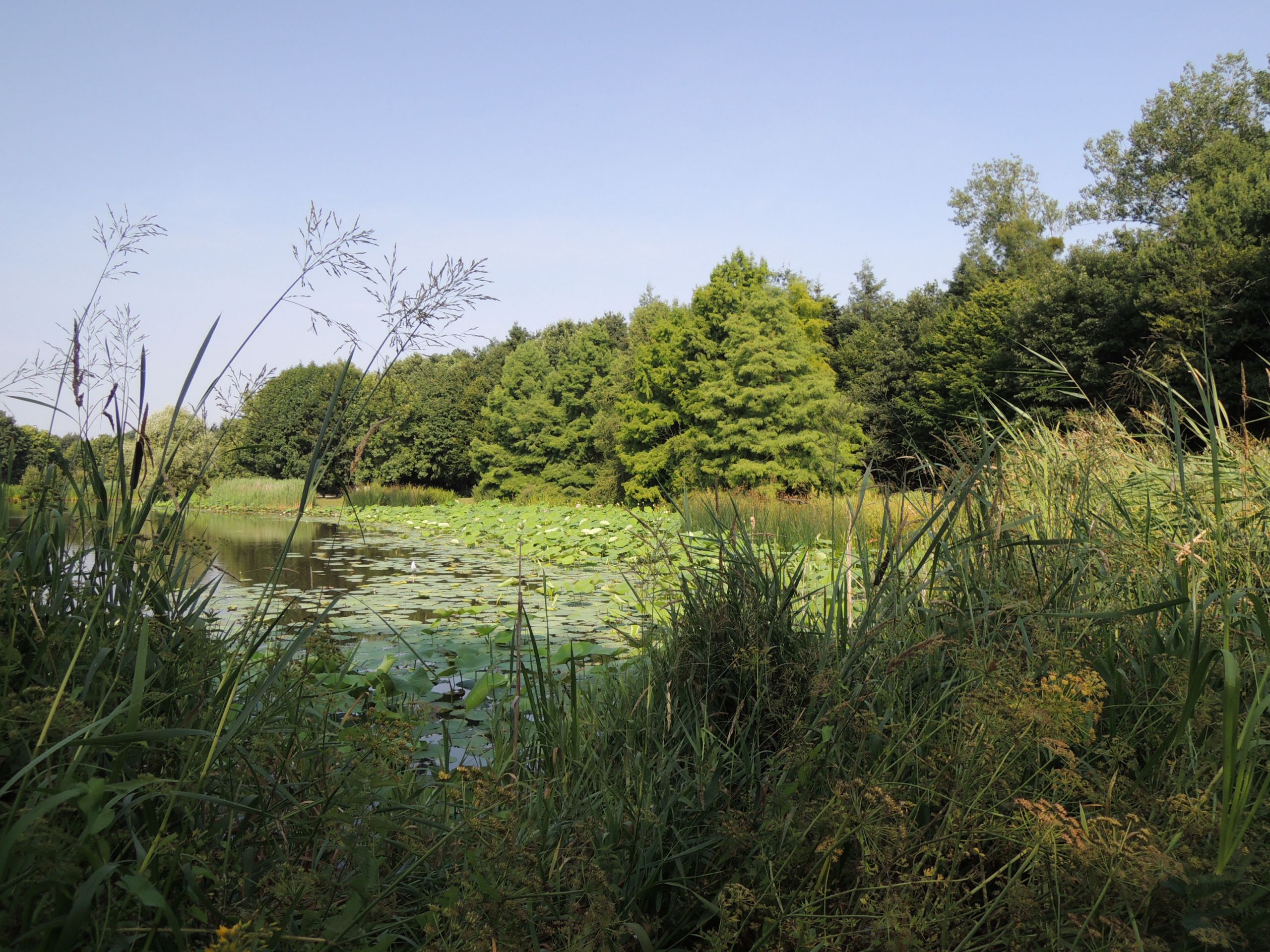 Jardin Botanique Strasbourg Charmant Rennes Familypedia
