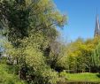 Jardin Botanique Strasbourg Génial Jardin Botanique De L Universite De Strasbourg Prancis