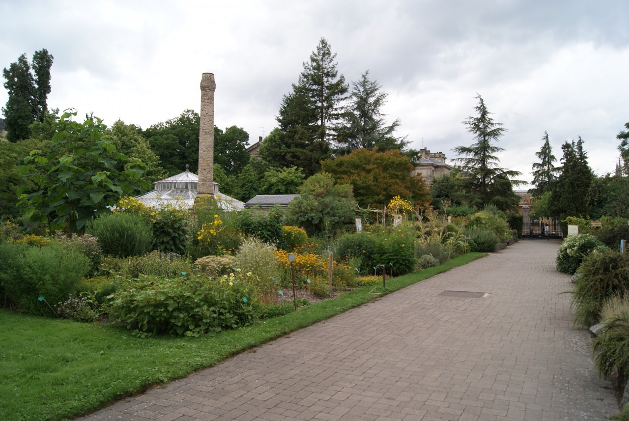 strasbourg jardin botanique de l universite de strasbourg