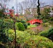 Jardin Botanique toulouse Beau Japanese Garden In toulouse