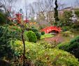 Jardin Botanique toulouse Beau Japanese Garden In toulouse