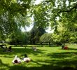 Jardin Botanique toulouse Charmant Jardin Des Plantes toulouse