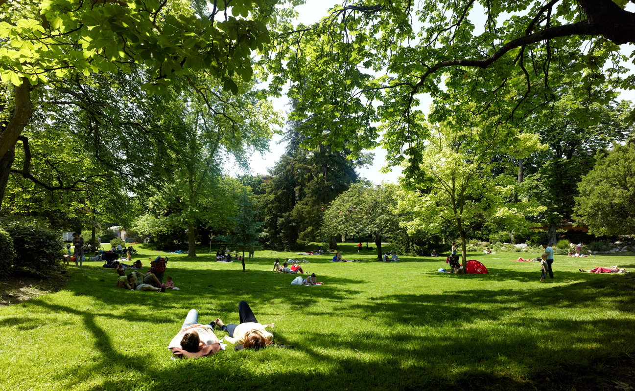 Jardin des plantes mod VIET A4