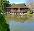 Jardin Botanique toulouse Élégant Jardin Japonais toulouse