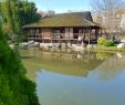 Jardin Botanique toulouse Élégant Jardin Japonais toulouse