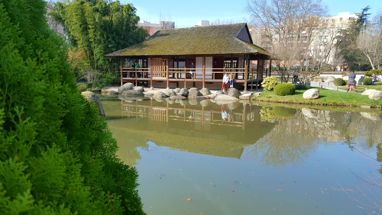 Jardin japonais 2