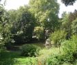 Jardin Botanique toulouse Élégant Jardin Royal toulouse