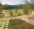 Jardin Botanique toulouse Frais Jardin Botanique Henri Gaussen