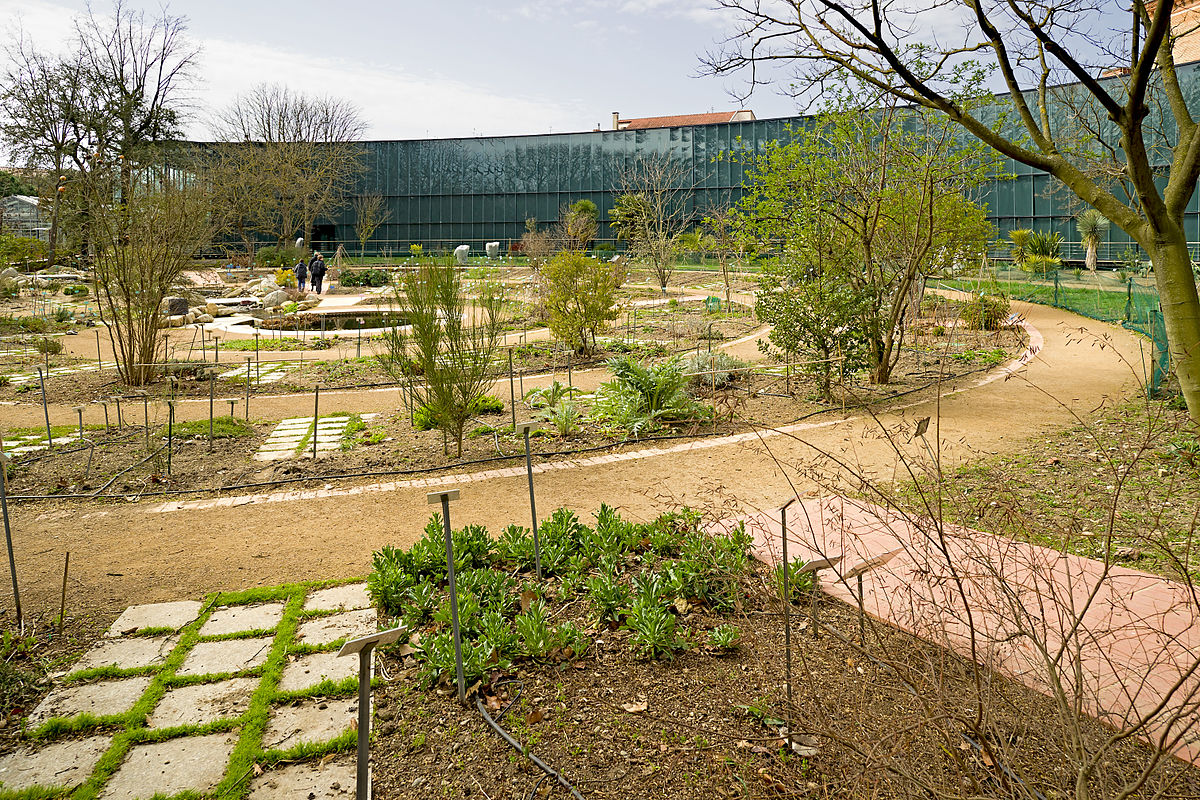 Jardin Botanique toulouse Frais Jardin Botanique Henri Gaussen