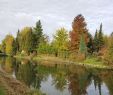 Jardin Botanique tourcoing Charmant 2020å¹´æ³å½å¾å°å ½çææ¸¸æ¯ç¹ãææ¸¸æåãè¡ç¨ Tripadvisor