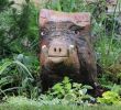 Jardin Botanique tourcoing Élégant tourcoing La Ville Se Met Au Vert Ce Week End Au Jardin