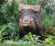 Jardin Botanique tourcoing Élégant tourcoing La Ville Se Met Au Vert Ce Week End Au Jardin