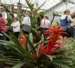 Jardin Botanique tourcoing Frais tourcoing Démªle Le Vrai Du Faux Sur Les Serres Pédagogiques
