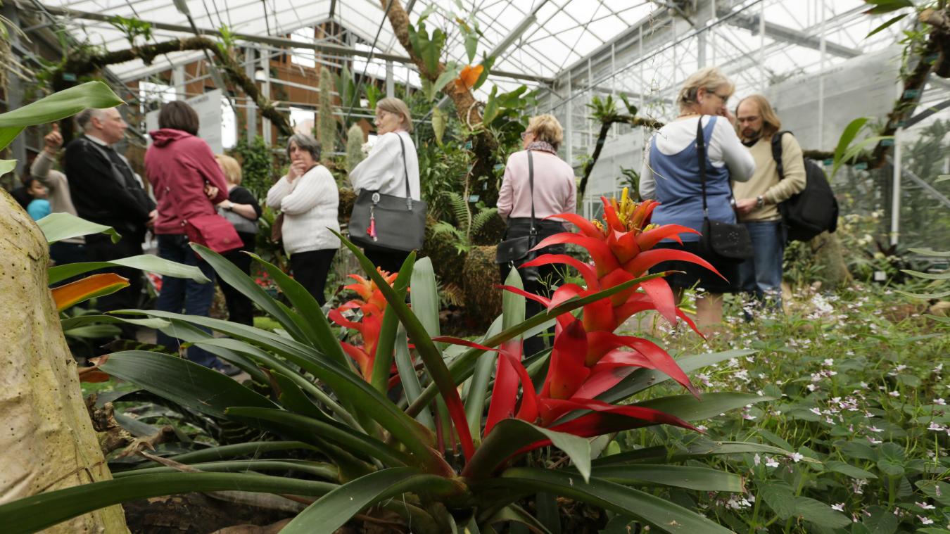 Jardin Botanique tourcoing Frais tourcoing Démªle Le Vrai Du Faux Sur Les Serres Pédagogiques