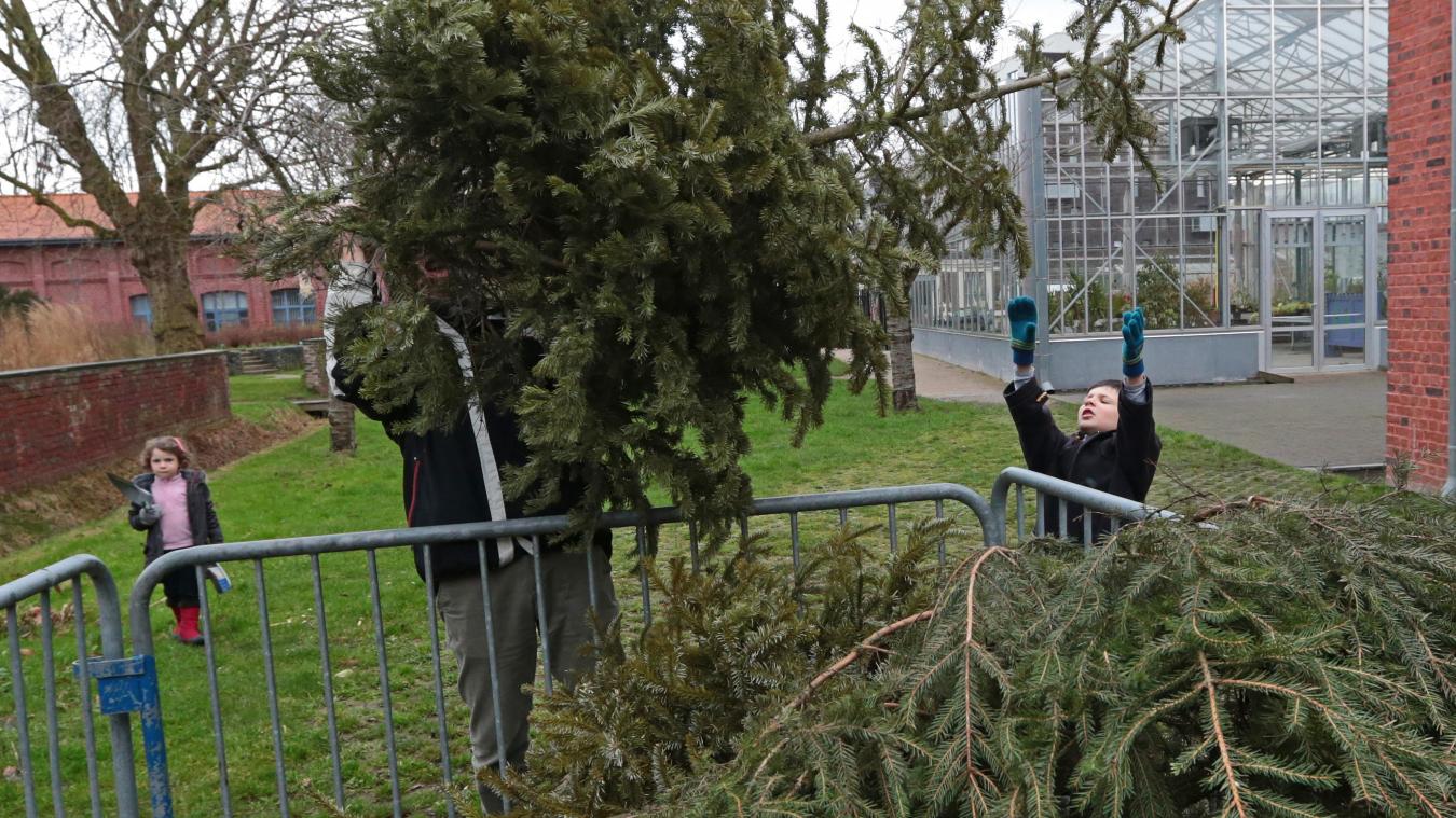 Jardin Botanique tourcoing Luxe  tourcoing On Recycle Les Sapins De No L   Partir De Ce