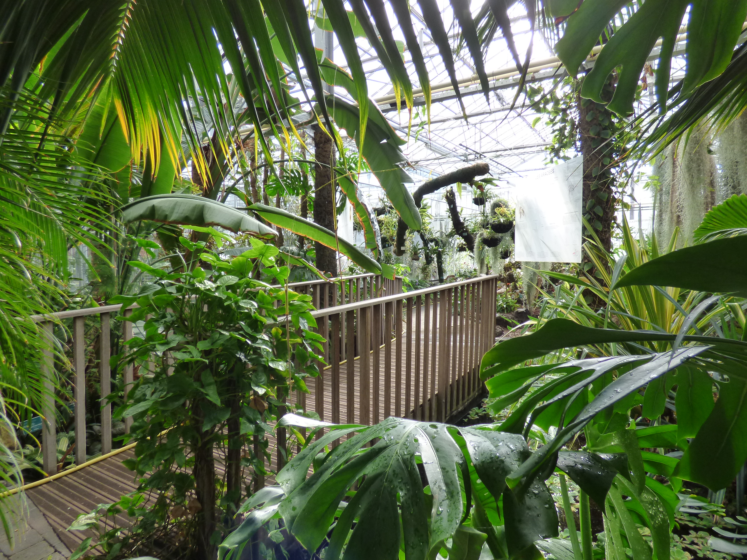 Jardin Botanique tourcoing Unique Conversation Au Jardin Botanique De tourcoing