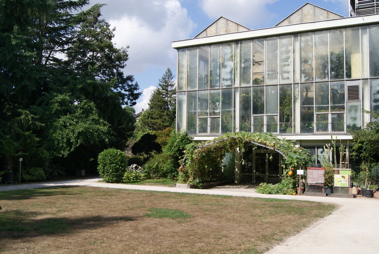strasbourg jardin botanique de l universite de strasbourg