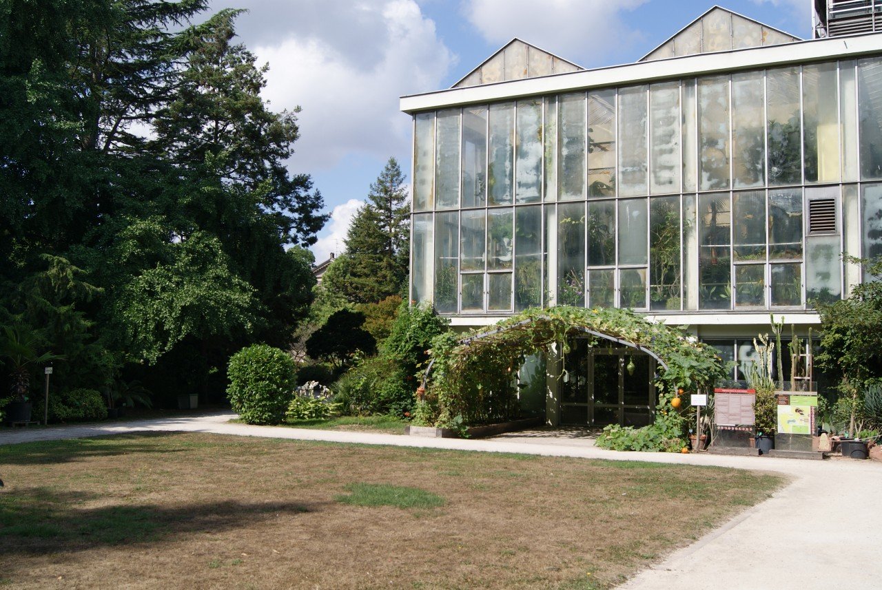 Jardin Botanique Unique S Strasbourg Page 4