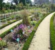 Jardin Botanique Unique Thabor Park – Rennes – tourist attractions Tropter