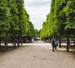 Jardin Californien Beau the Jardin Des Tuileries In Paris A Royal Gem