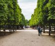 Jardin Californien Beau the Jardin Des Tuileries In Paris A Royal Gem