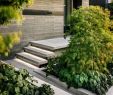 Jardin Californien Inspirant John Maniscalco Architecture Designs An Elegant Contemporary
