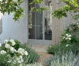Jardin Californien Inspirant Modern Landscaping Mediterranean Garden Ideas 5