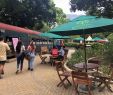 Jardin Colombie Charmant Jardin Botanico De Medellin 2020 All You Need to Know
