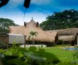 Jardin Colombie Frais San Basilio De Palenque 2020 Best Of San Basilio De