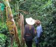 Jardin Colombie Nouveau Finca Milena Jardin 2020 All You Need to Know before You