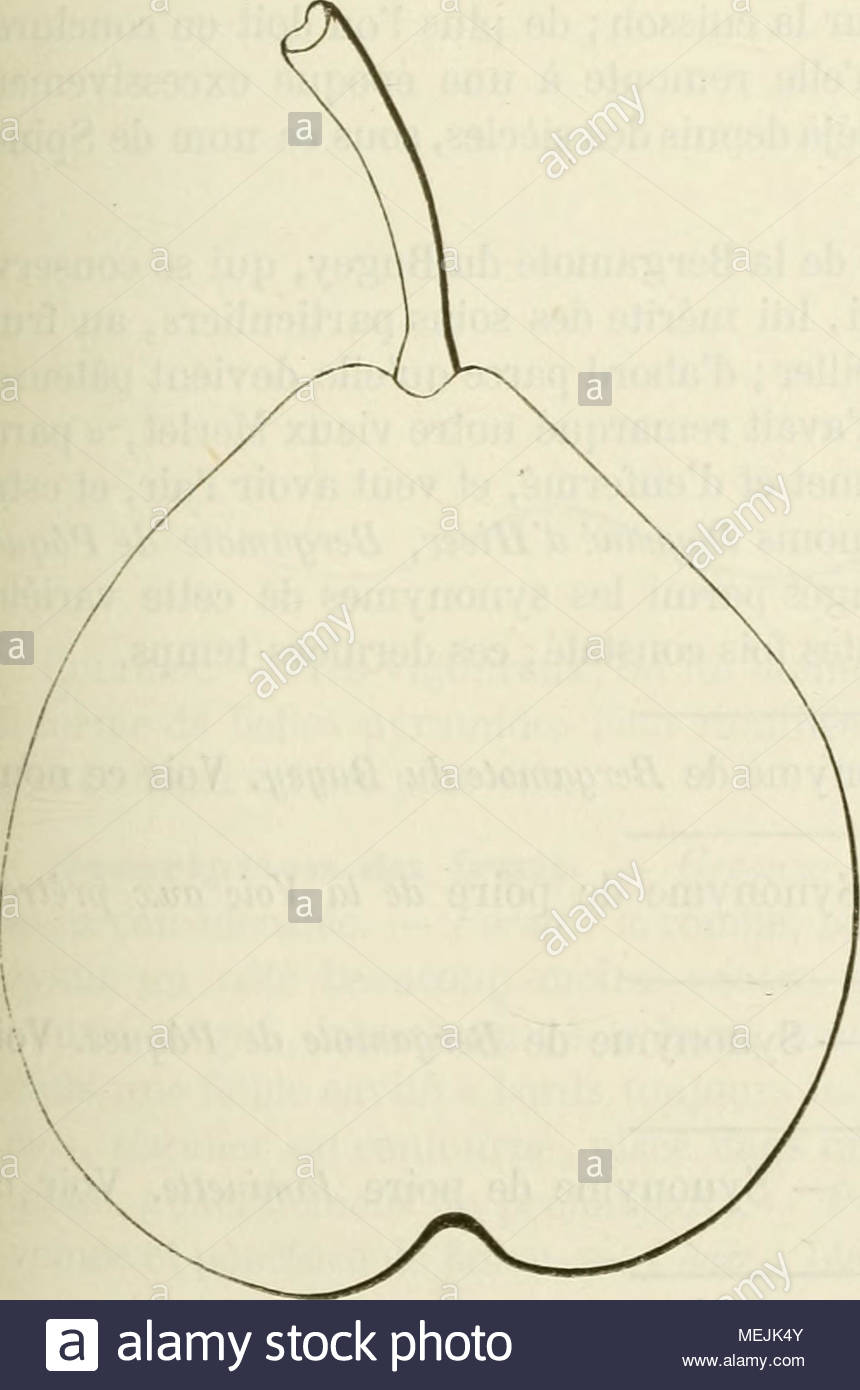 dictionnaire de pomologie contenant lhistoire la description la figure des fruits anciens et des fruits modernes les plus gnralement connus et cultivs synonjnies poires bergamote bugi dom claude saiot tienne nouvelle ins truction pour connatre les bons fruits 1670 p 81 2 violette rf e6rf spera spina merlet labreg des bons fruits dition de 1675 p 120j 4 du ministre wem dition de 1690p 106 5nicole id ibid 6 du bugi la quintinye instructions pour les jardins fruitiers et potagers dition de 1739 p 275 7 grosse r MEJK4Y