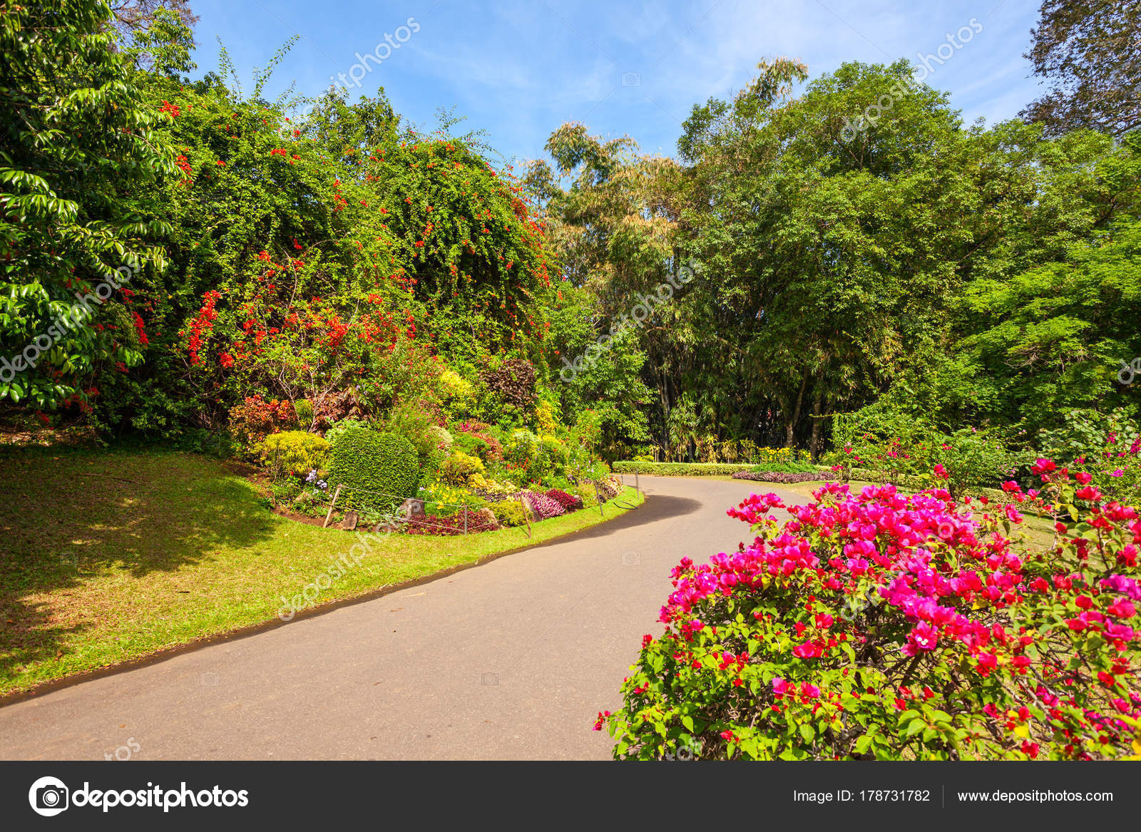 Jardin Colombie Unique Jardin Botanico Peradeniya