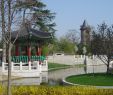 Jardin D Acclimatation Paris Beau Jardin D Acclimatation