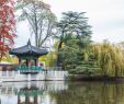 Jardin D Acclimatation Paris Luxe File Jardin D Acclimatation Paris Wikimedia Mons