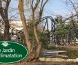 Jardin D Acclimatation Paris Luxe Jardin D Acclimatation Vlog February 2018