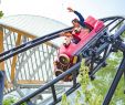 Jardin D Acclimatation Paris Luxe New Jardin D Acclimatation to Be Inaugurated by Anne Hidalgo